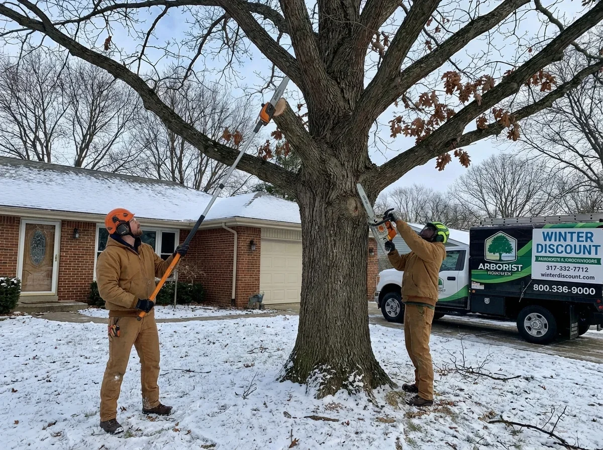 Regional and Seasonal Pricing — tree trimming cost